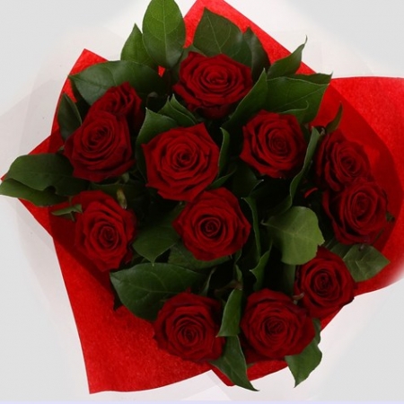 1 Dozen Red Roses - 12 Stem Bouquet